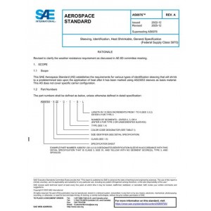 SAE AS6976A