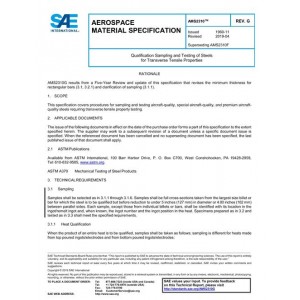 SAE AMS2310G