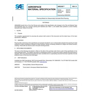 SAE AMS2585B
