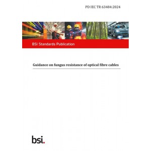 BS PD IEC TR 63484:2024